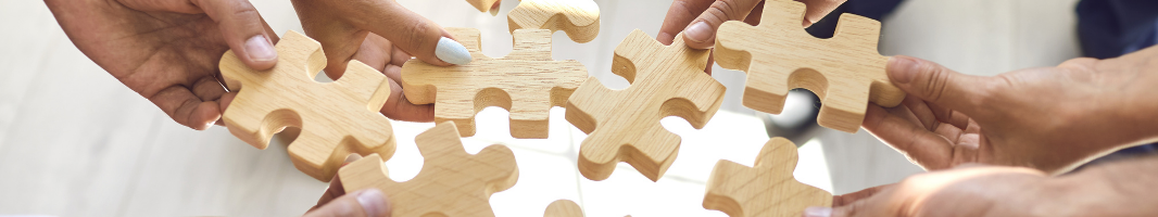 Interprofessional Practice Module Series